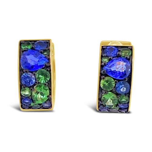 Layered earrings for trendy, boho looks-Blue Sapphire & Tsavorite Earrings